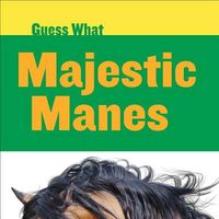 Cover image for Majestic Manes: Horse