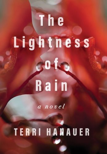 Cover image for The Lightness of Rain