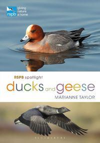 Cover image for RSPB Spotlight Ducks and Geese