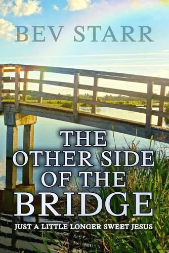 Cover image for The Other Side of the Bridge