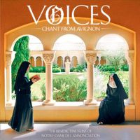 Cover image for Voices Chant From Avignon