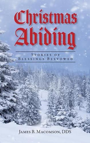 Cover image for Christmas Abiding: Stories of Blessings Bestowed