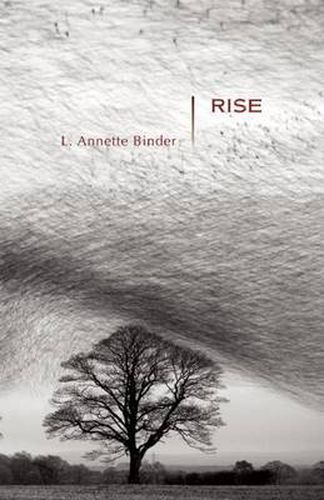 Cover image for Rise: Stories