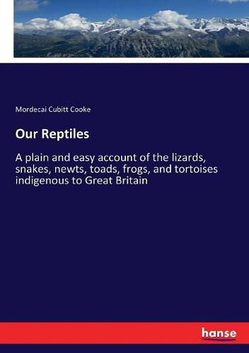 Cover image for Our Reptiles: A plain and easy account of the lizards, snakes, newts, toads, frogs, and tortoises indigenous to Great Britain