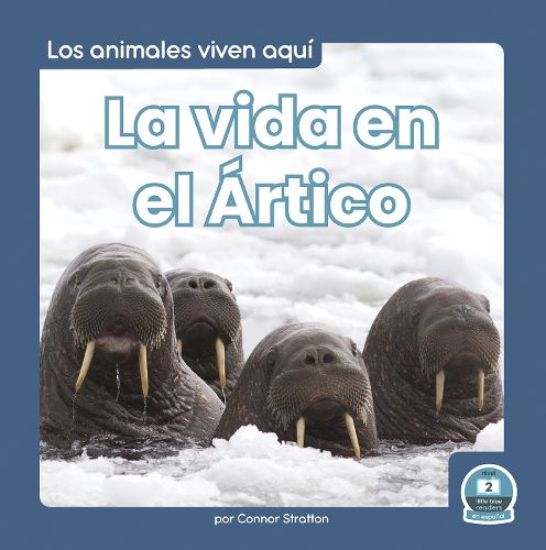 Cover image for La Vida En El Artico (Life in the Arctic)