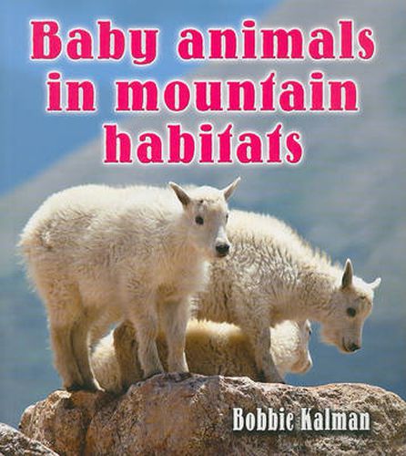 Cover image for Baby Animals in Mountain Habitats