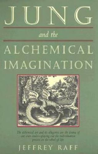 Cover image for Jung and the Alchemical Imagination