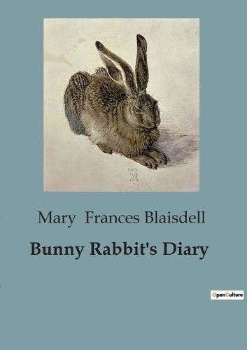 Cover image for Bunny Rabbit's Diary