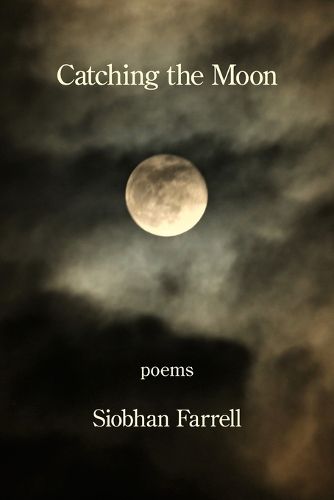Cover image for Catching the Moon