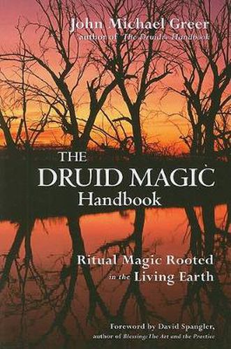 Cover image for Druid Magic Handbook: Ritual Magic Rooted in the Living Earth