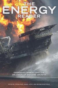 Cover image for The Energy Reader