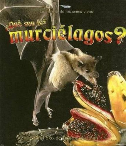 Cover image for Que son los Murcielagos?