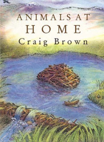 Cover image for Animals at Home