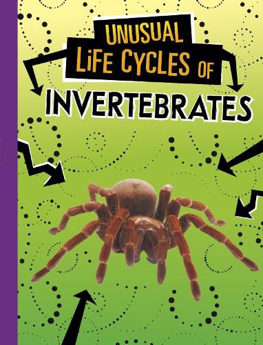 Cover image for Unusual Life Cycles of Invertebrates