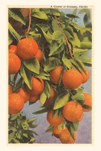 Cover image for Vintage Journal Oranges, Florida