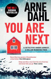 Cover image for You Are Next