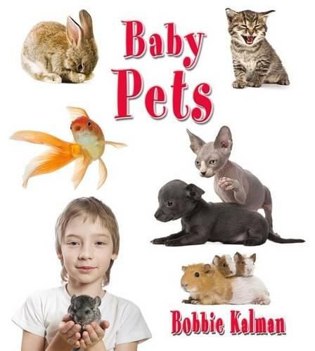 Cover image for Baby Pets