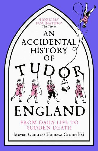 Cover image for An Accidental History of Tudor England