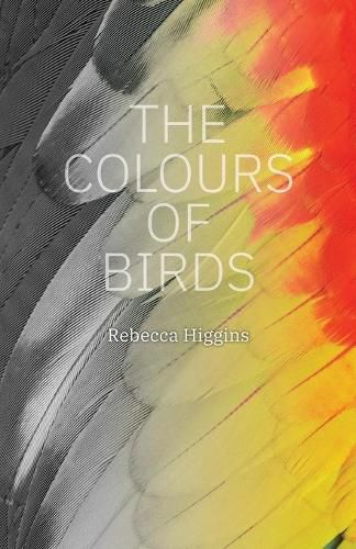 Cover image for The Colours of Birds