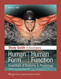 Cover image for Study Guide to Accompany Human Form Human Function: Essentials of Anatomy & Physiology