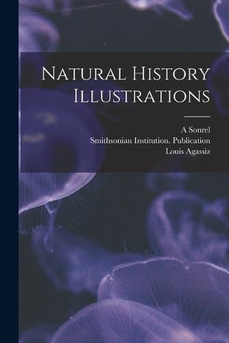 Cover image for Natural History Illustrations