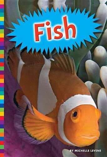 Cover image for Fish