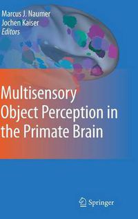 Cover image for Multisensory Object Perception in the Primate Brain