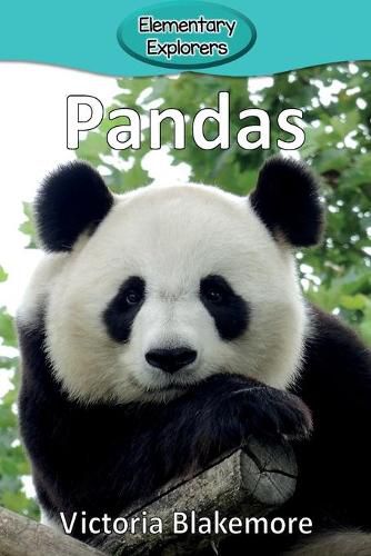 Pandas