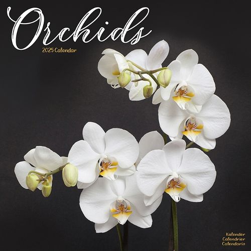 Orchids Calendar 2025 Square Flowers Wall Calendar - 16 Month