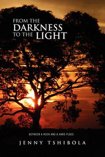 Cover image for From the Darkness to the Light