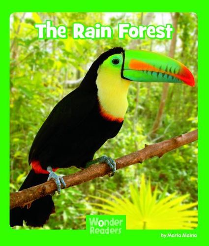 Cover image for The Rain Forest