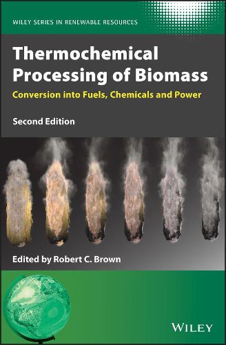 Cover image for Thermochemical Processing of Biomass - Conversion into Fuels, Chemicals and Power, 2nd Edition