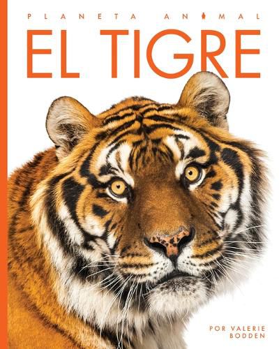 Cover image for El Tigre