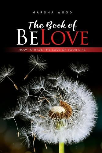 Cover image for The Book of BeLove