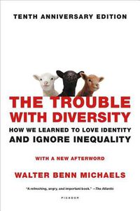 Cover image for The Trouble with Diversity: How We Learned to Love Identity and Ignore Inequality