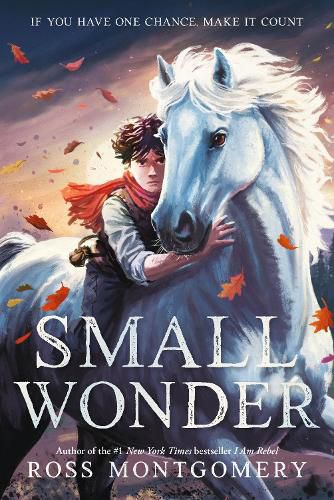 Cover image for Small Wonder