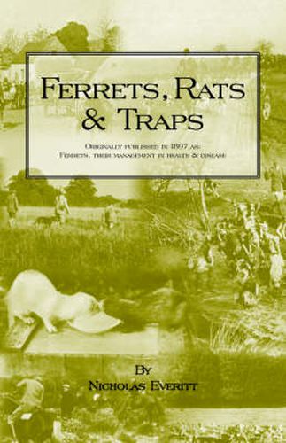 Cover image for Ferrets, Rats and Traps