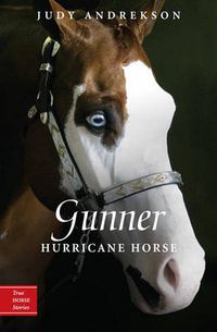 Cover image for Gunner: Hurricane Horse