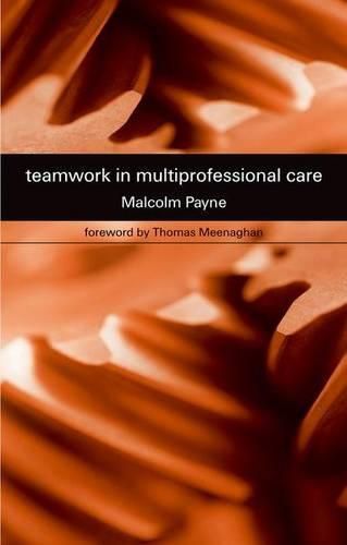 Cover image for Teamwork in Multiprofessional Care