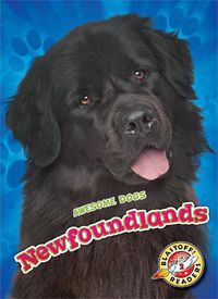 Cover image for Newfoundlands