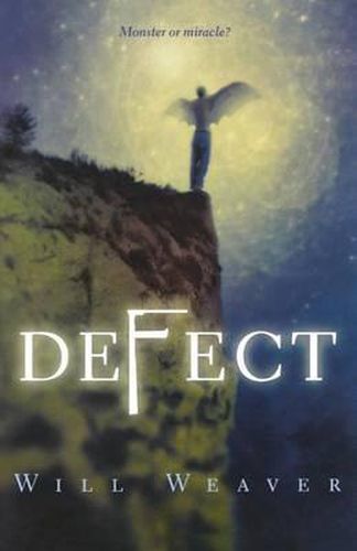 Cover image for Defect