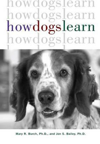 Cover image for How Dogs Learn