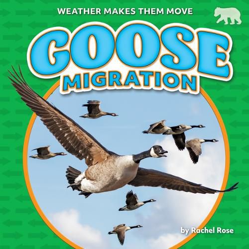 Goose Migration