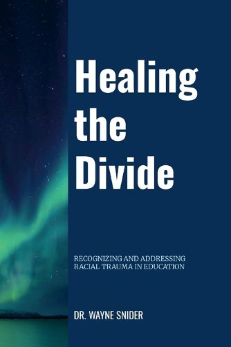 Cover image for Healing the Divide