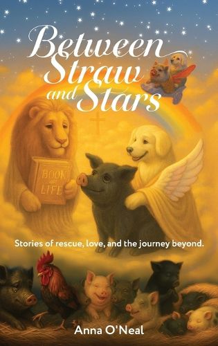 Cover image for Between Straw and Stars