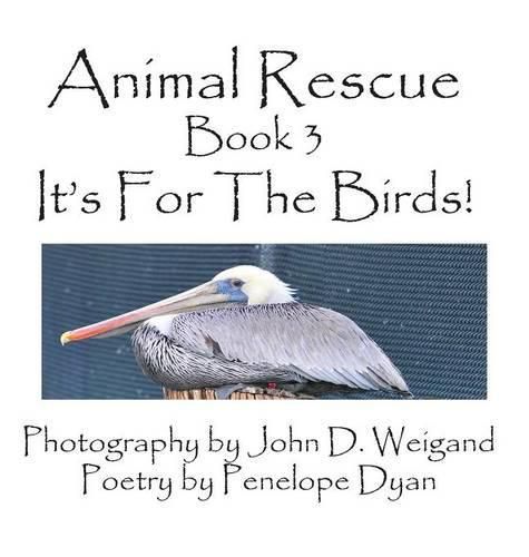 Cover image for Animal Rescue, Book 3, It's for the Birds!