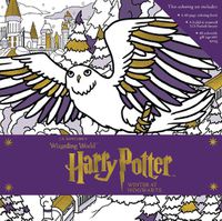Cover image for Harry Potter: Winter at Hogwarts: A Magical Coloring Set