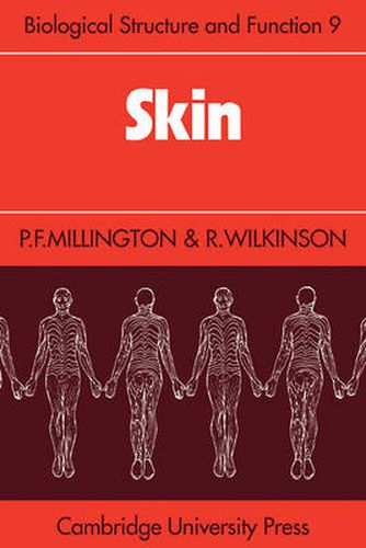 Cover image for Skin