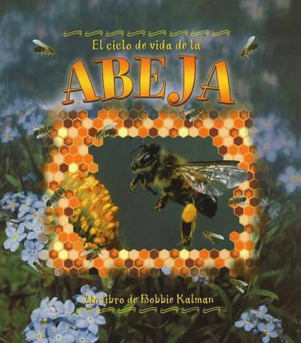 Cover image for El Ciclo de Vida de Abeja