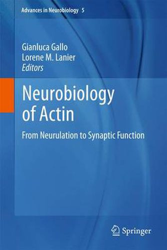 Cover image for Neurobiology of Actin: From Neurulation to Synaptic Function